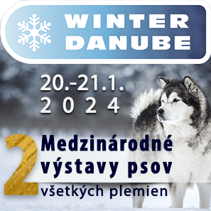 Incheba-297x297-Winter.png