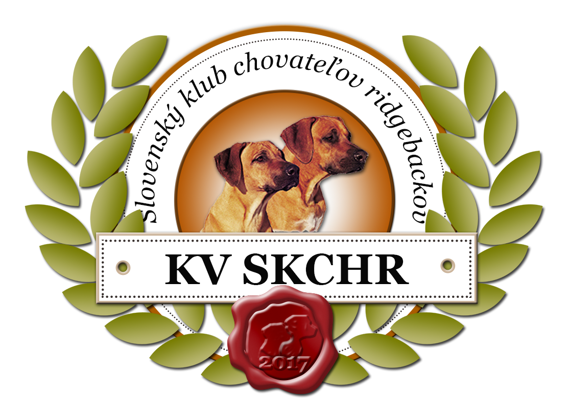 logo_KV_2017.png