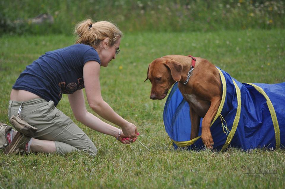 Agility-ilustr-JB.jpg