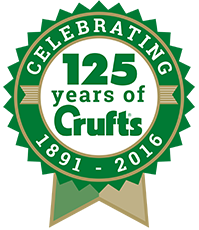 125-years-celebration.png