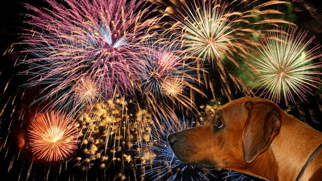 fireworks.jpg