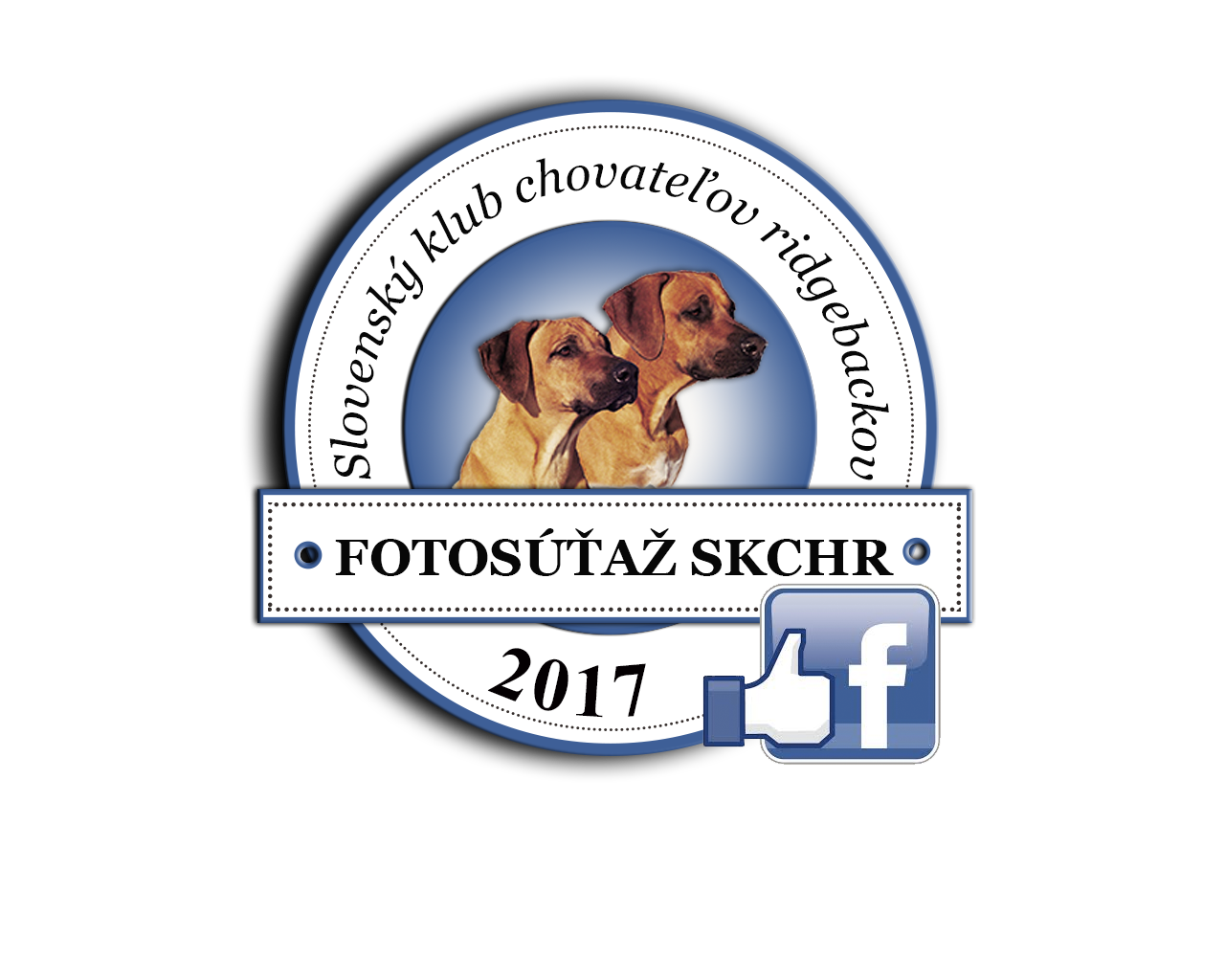 fotosutaz_2017.png