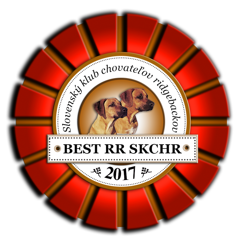 best_rr_2017.png