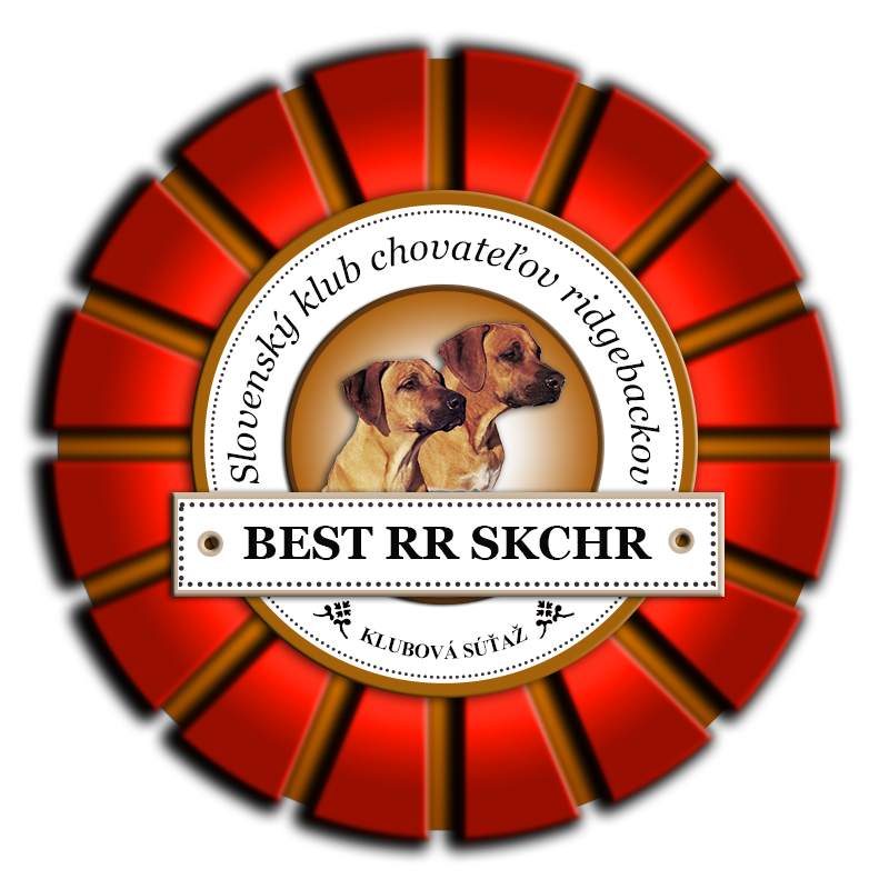 logo_BESTRRSKCHR_menu.png
