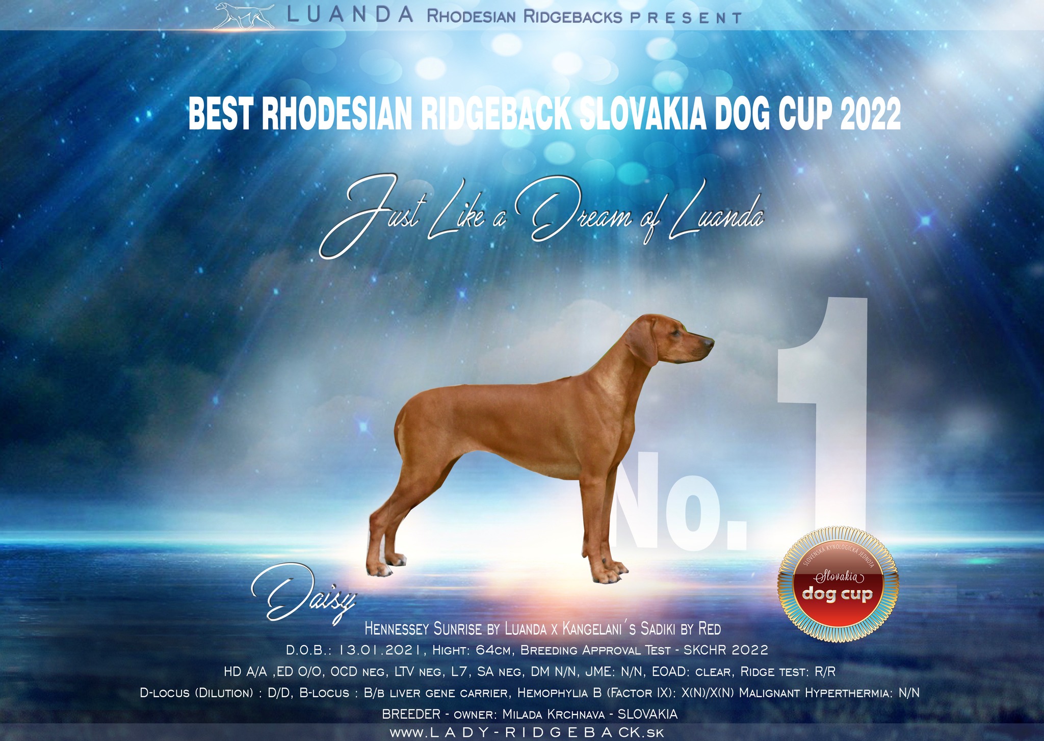 luanda_dog_cup.jpg
