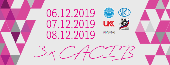 CACIB_NR_12_2019_logo.png