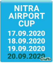 CACIB_NR_airportcup.png
