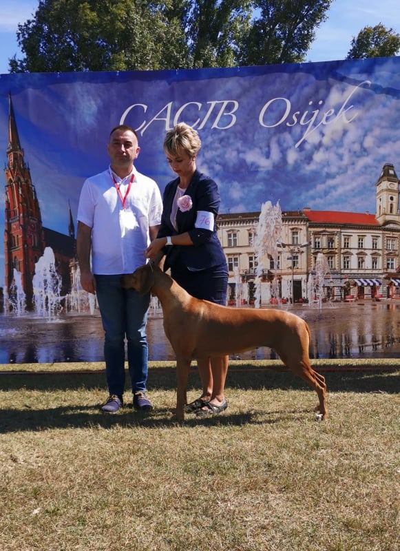 CACIB_Osijek1_BOB.jpg