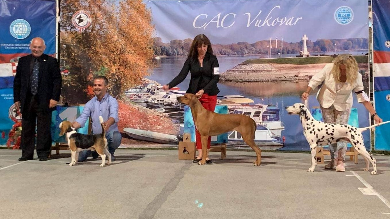 CAC_Vukovar2019_BOB.jpg