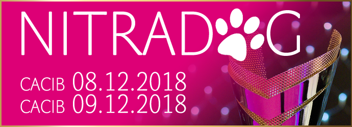 CACIB_NR_logo_12_2018.png