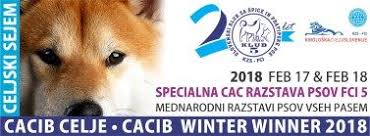 celje.jpg