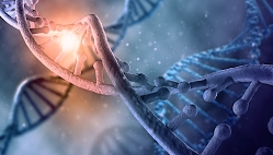 dna-retazec-web.jpg